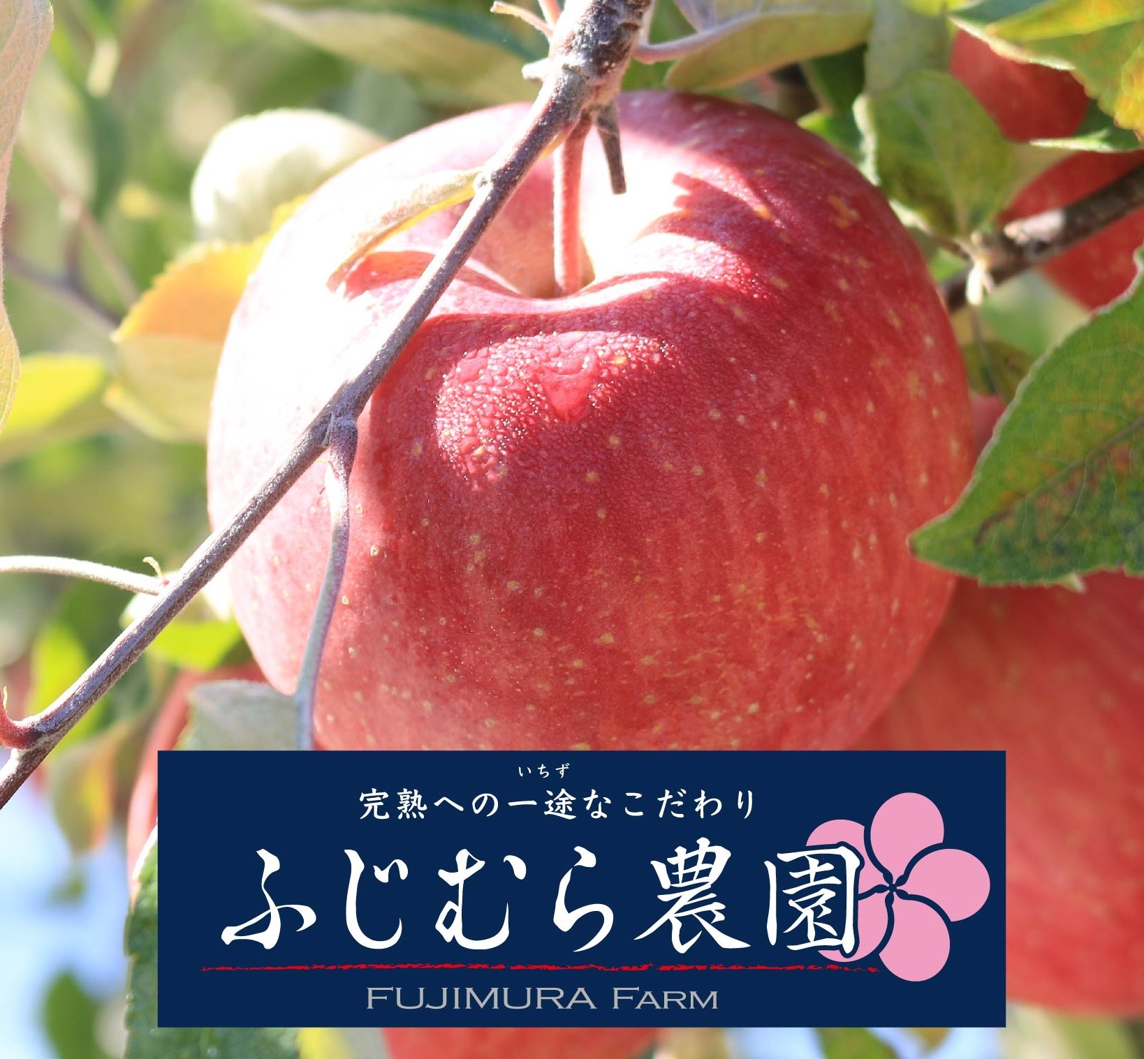 ふじむら農園 | Morioka-shi Iwate