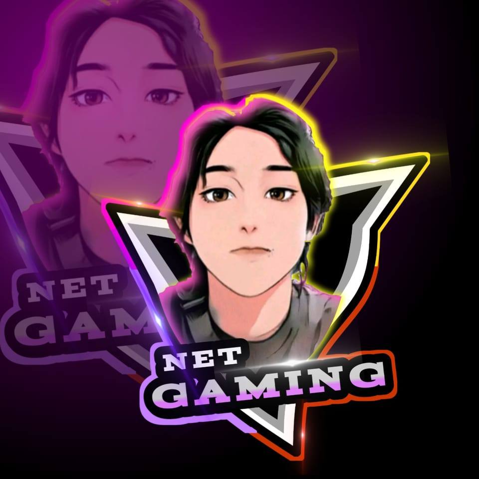NET Gaming