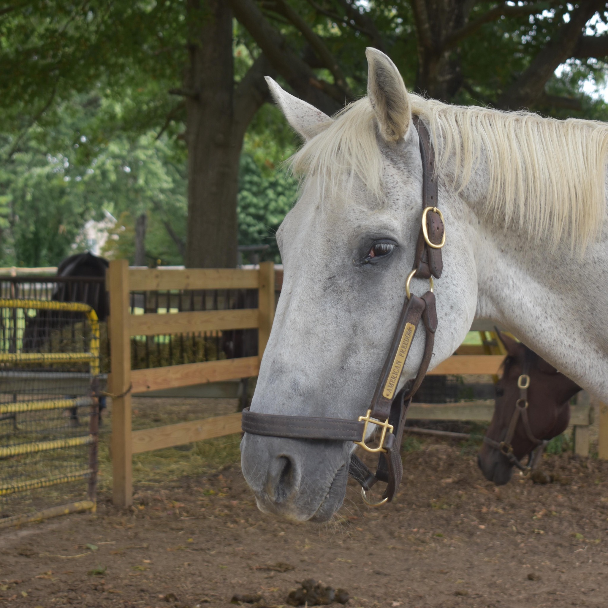 Freedom Acres