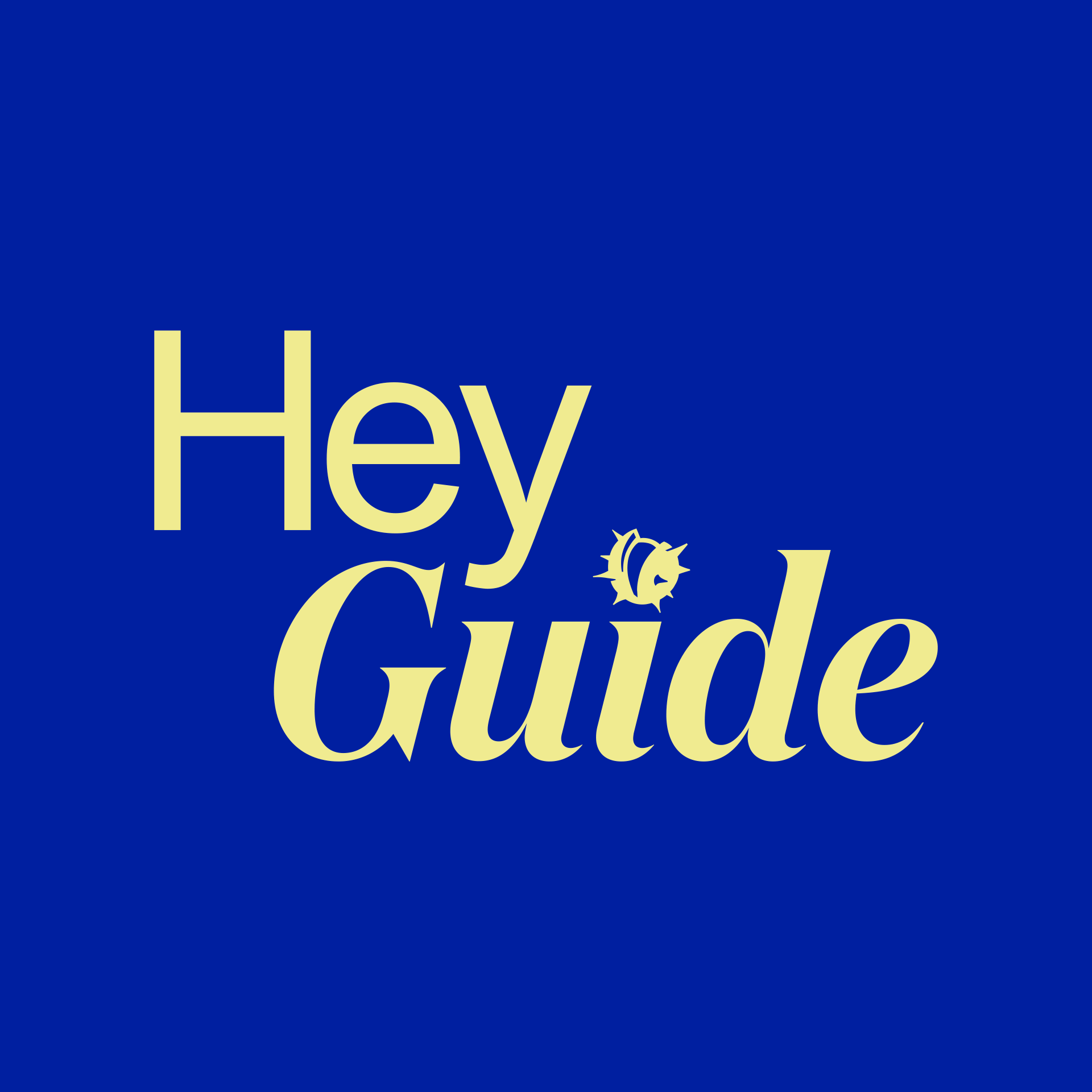 Hey Guide