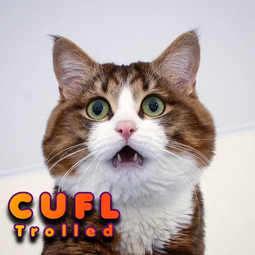 CUFL Trolled