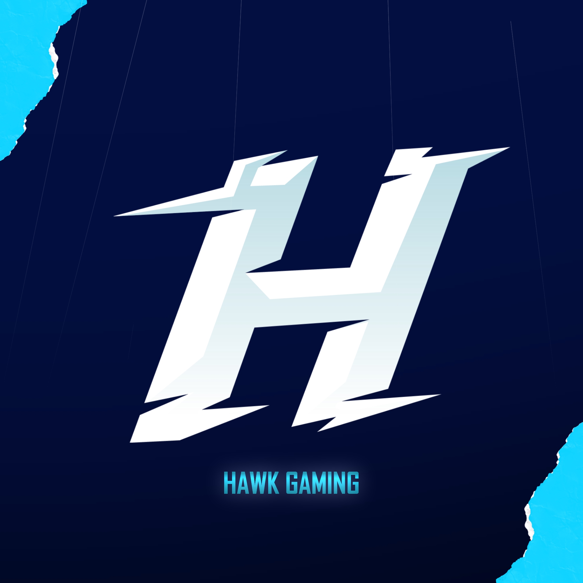 Hawk Gaming