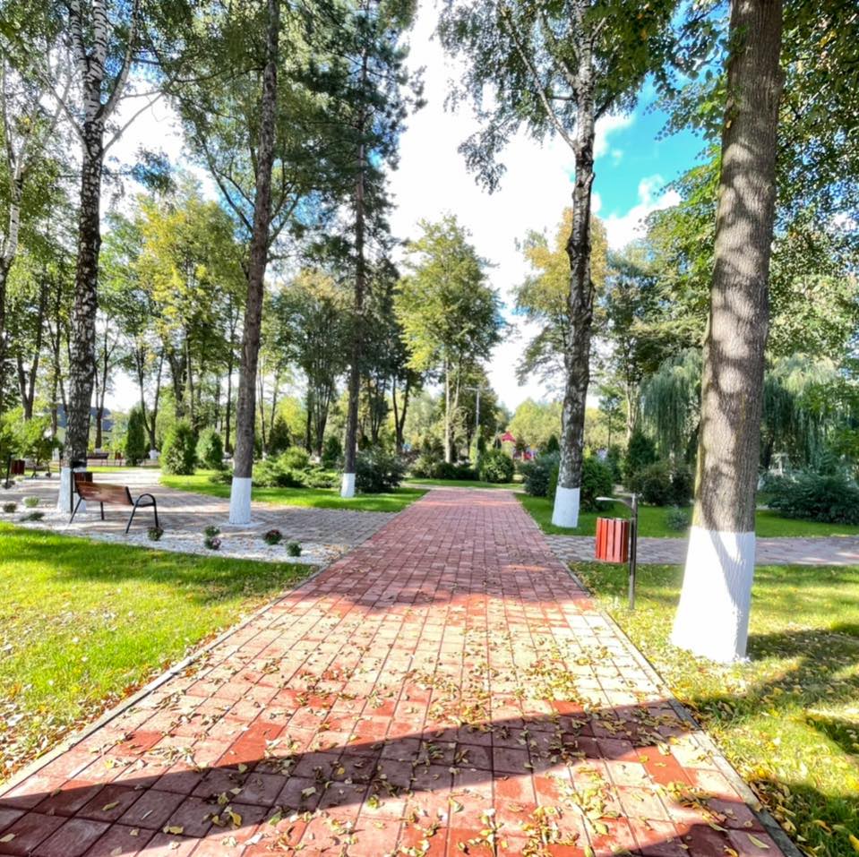 parcul-central-vicovu-de-jos