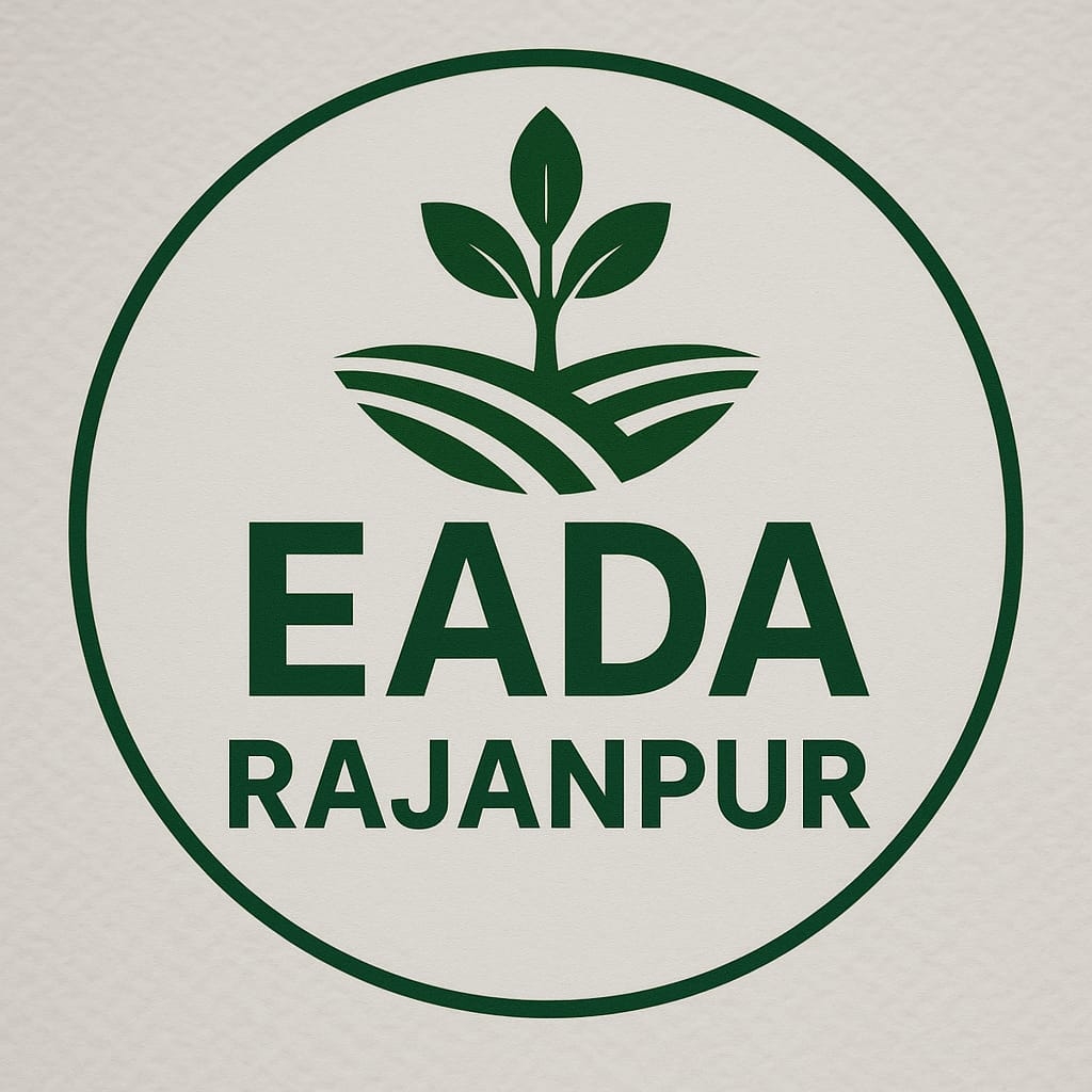 Extra Assistant Director Agriculture - E&M Rajanpur