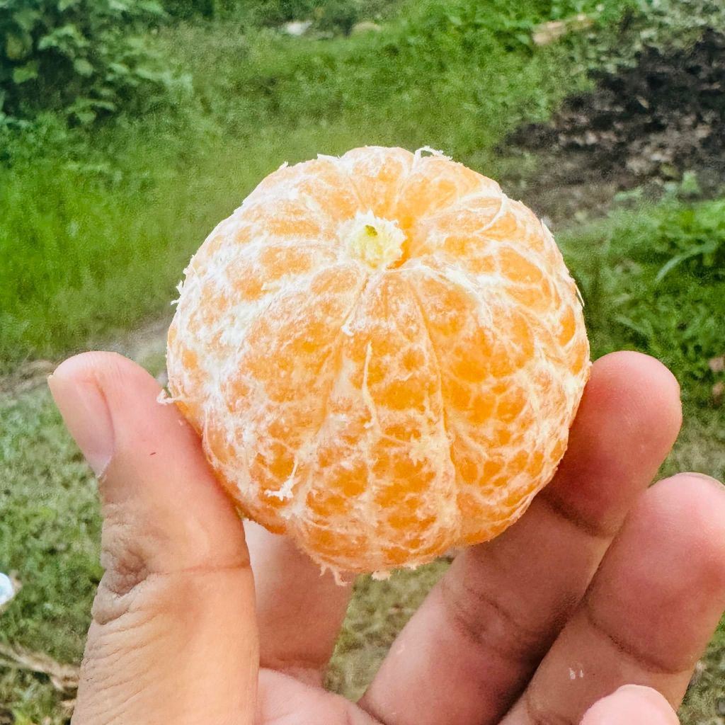 Rama Jordan