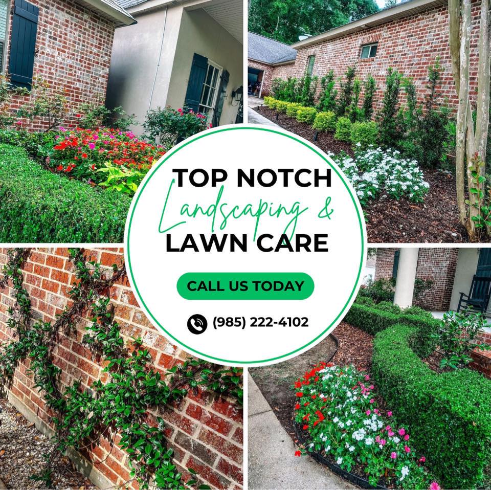 Top Notch Landscaping and Lawncare, LLC | Robert LA