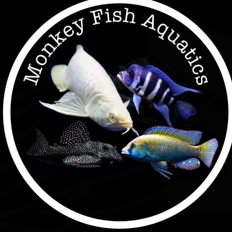 Monkey Fish Aquatics & Exotics