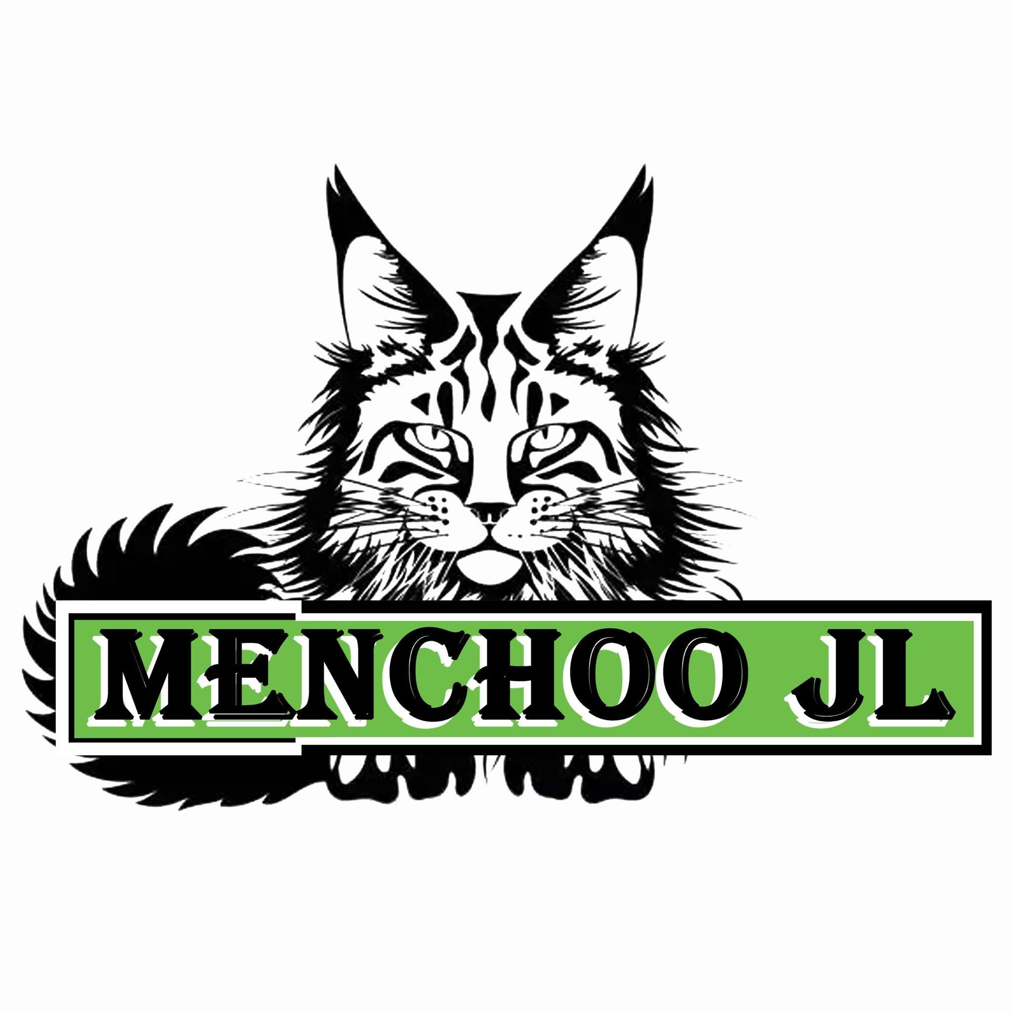 Menchoo JL Maine Coon Nursery Ho Chi Minh City