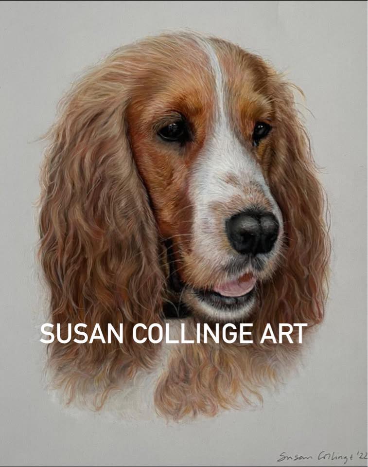 Susan Collinge Bespoke Pet Portraits
