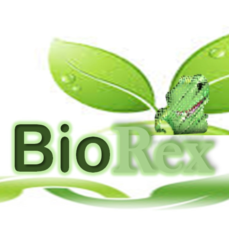 BIO REX | San Andrés Cholula Centro