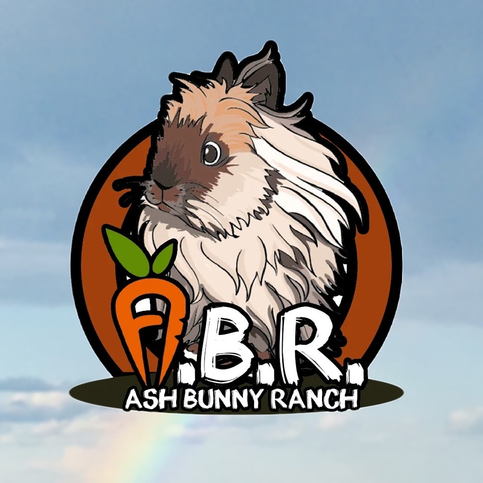 ASH BUNNY RANCH | Daet