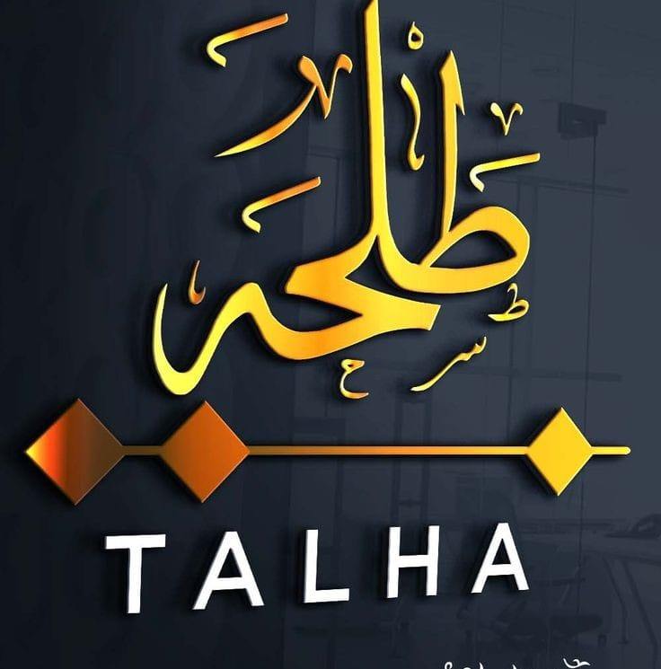Talha collection online shop