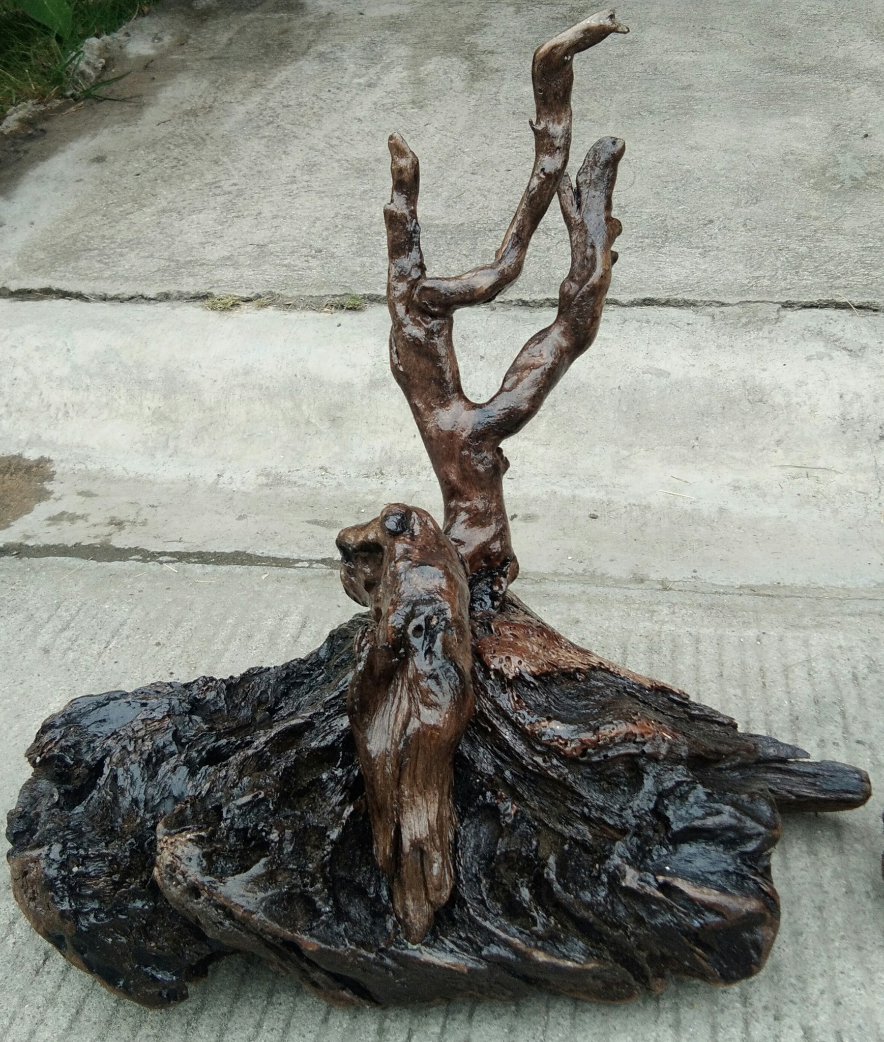 Arte Tuod