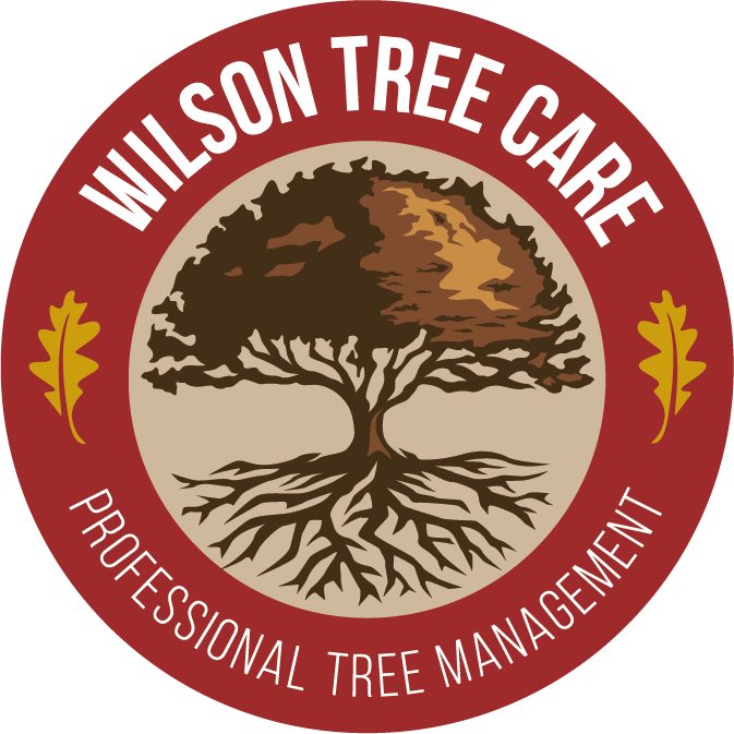 Wilson Tree Care