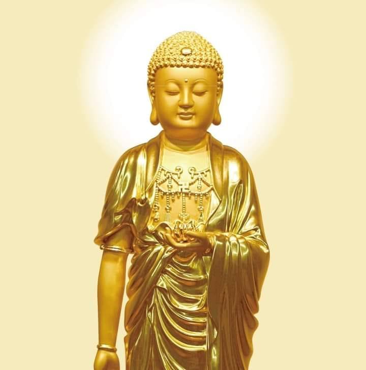 凡是见到法的人即见到我，见到我的人即见到法。” “法就是佛，佛就是法”
