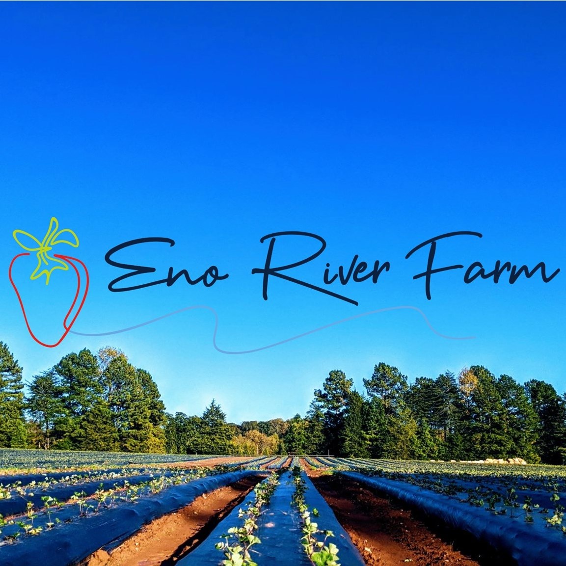 Eno River Farm | Hillsborough NC