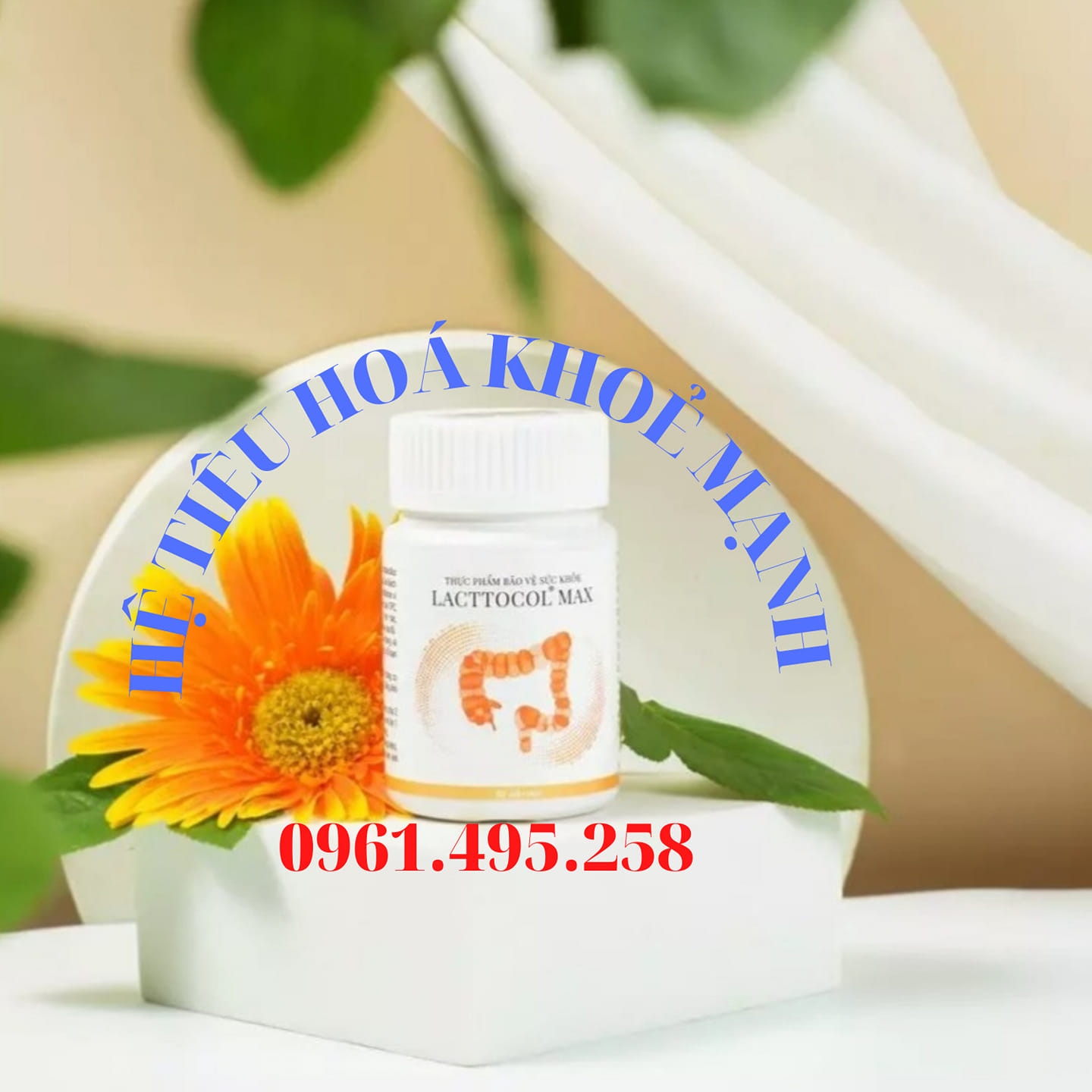 Lactocol Max - hệ tiêu hóa khỏe mạnh