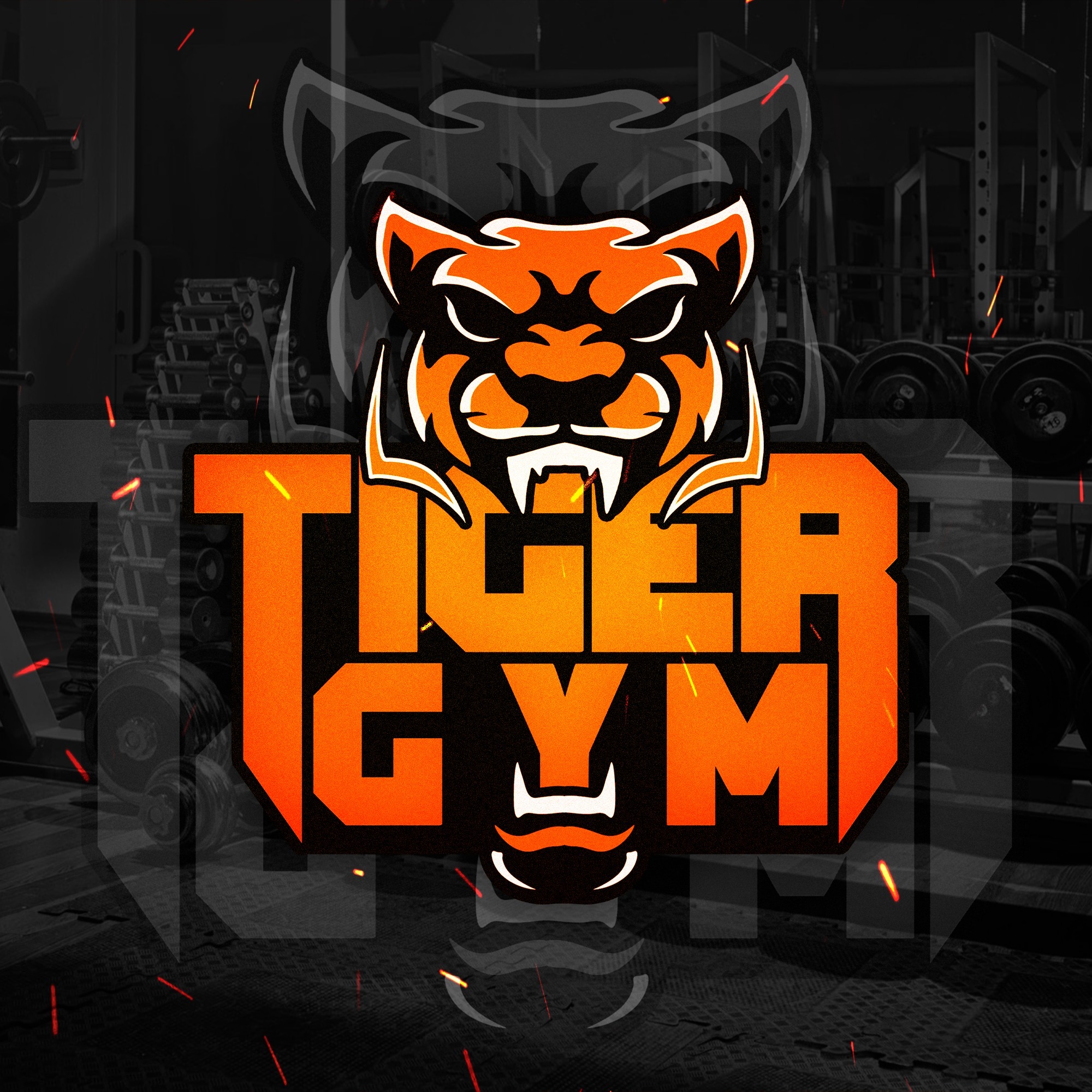 TIGER GYM