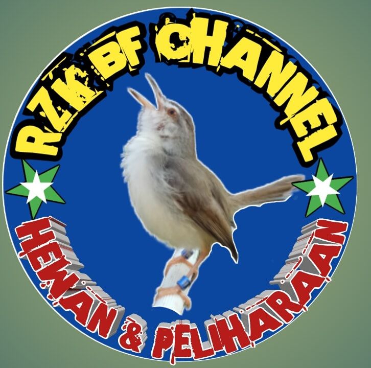 Rzk birdfarm channel
