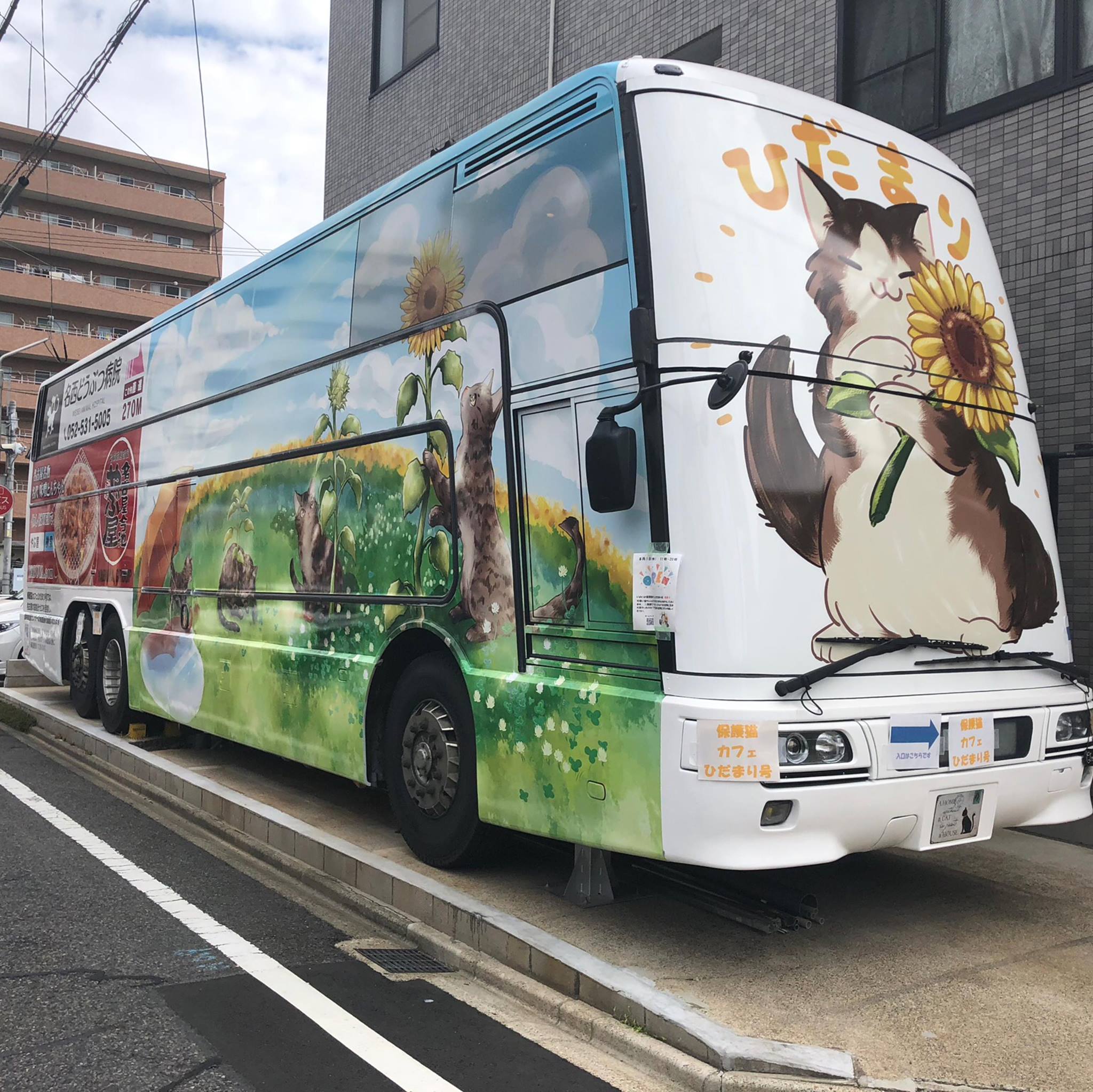 保護猫カフェひだまり号の現在とは？料金や口コミ・譲渡会を徹底検証