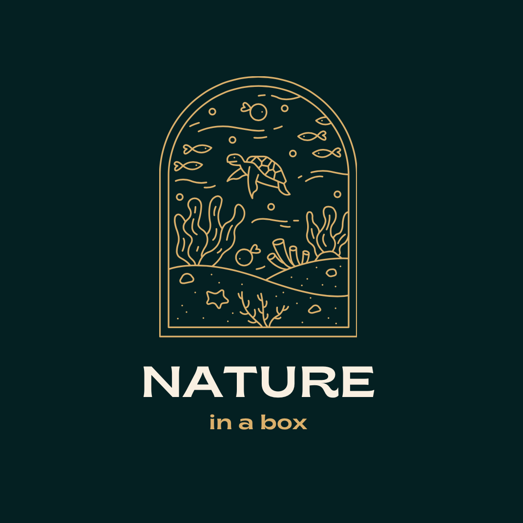 Nature in a Box | Bangkok