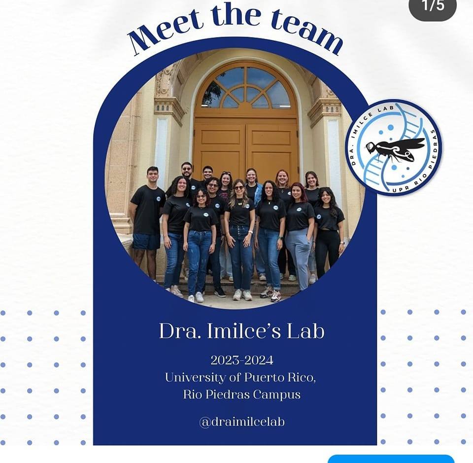 Dra. Imilce lab | San Juan