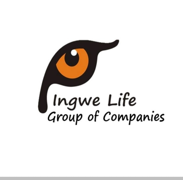 Ingwe Group of Companies | Randburg