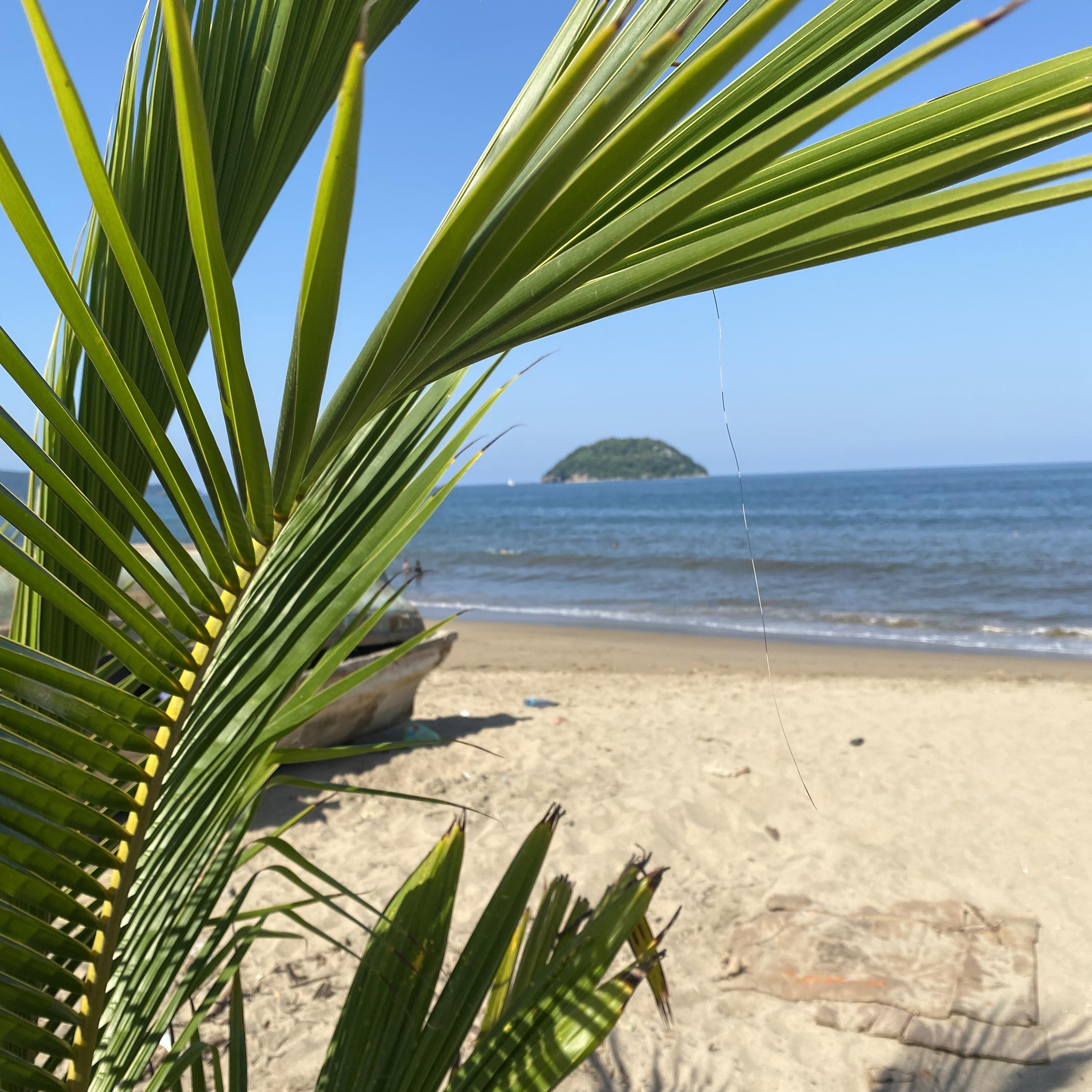 👍🏻👏🏻👏🏻👏🏻 #HuracanSimon Playa Rincon de Guayabitos Nayarit | Miguel ...