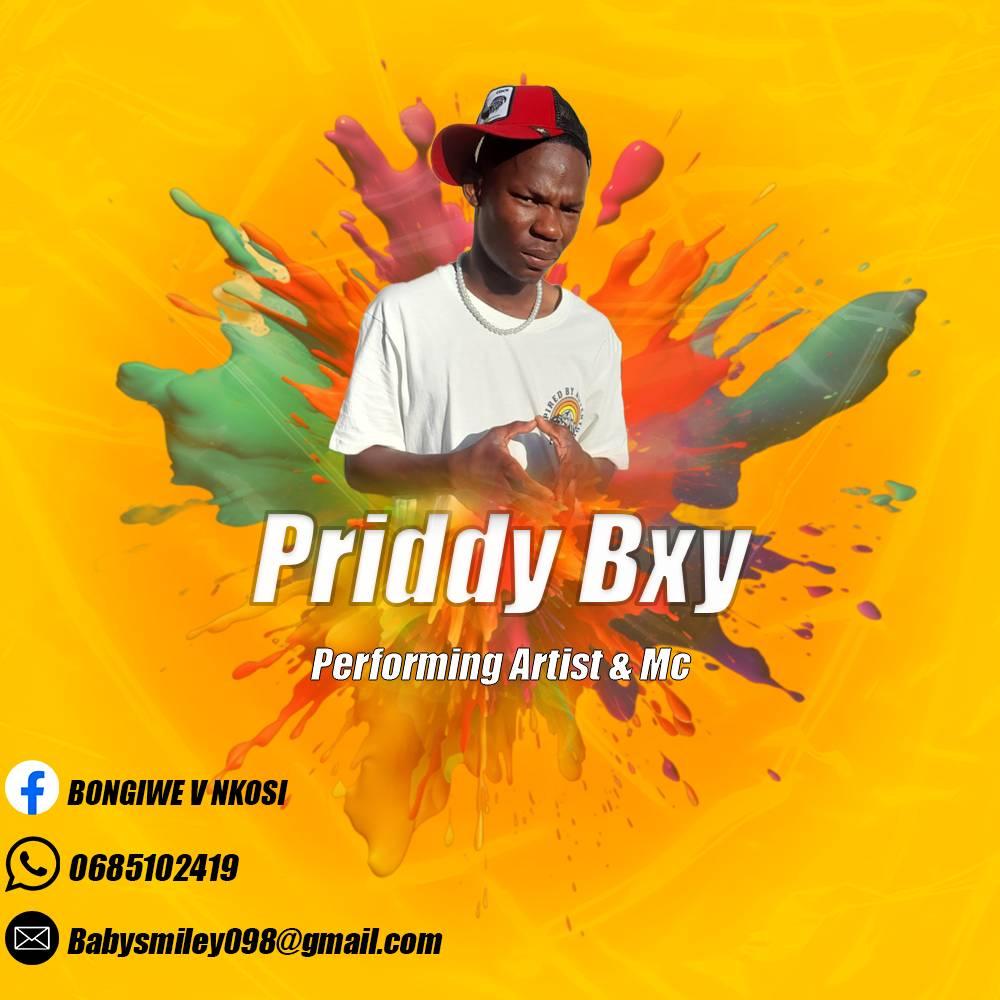 Priddy bxy the vocalist