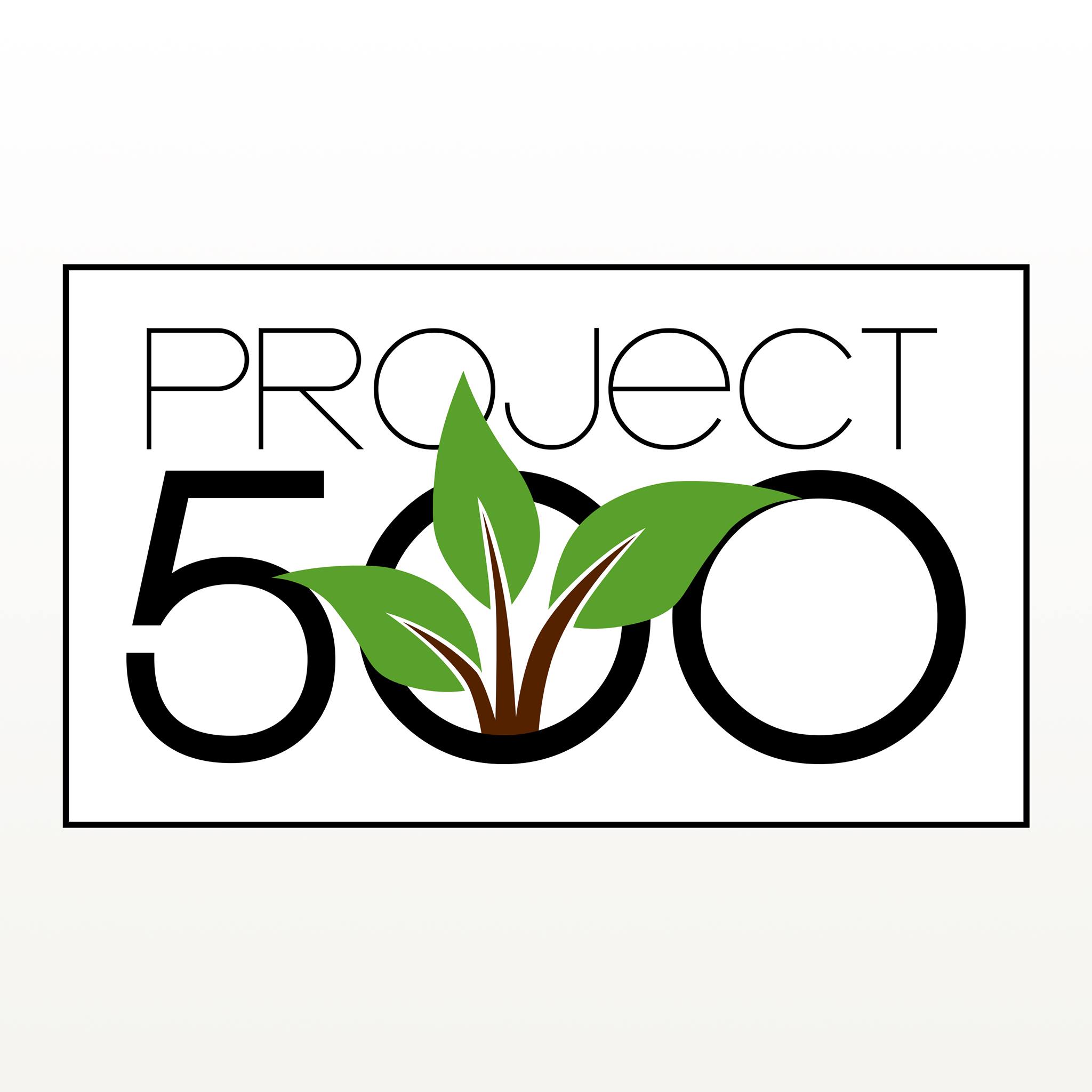 Project 500