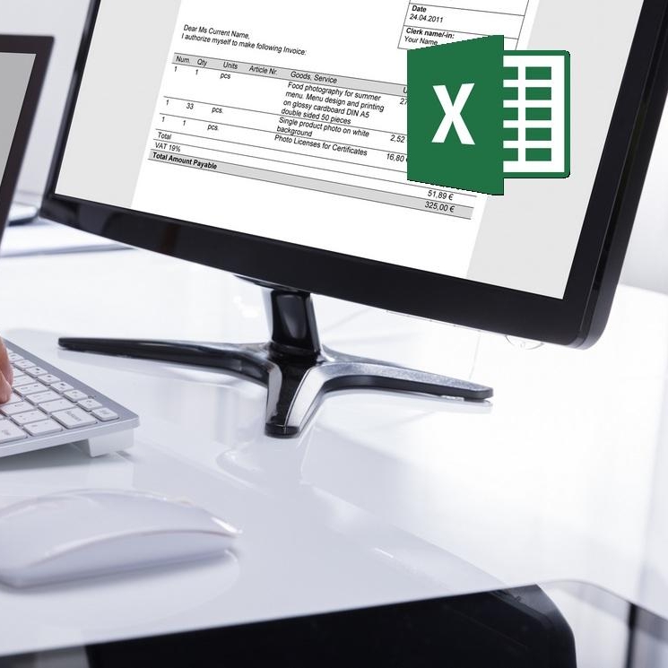 Excel Pro Básico a Profesional