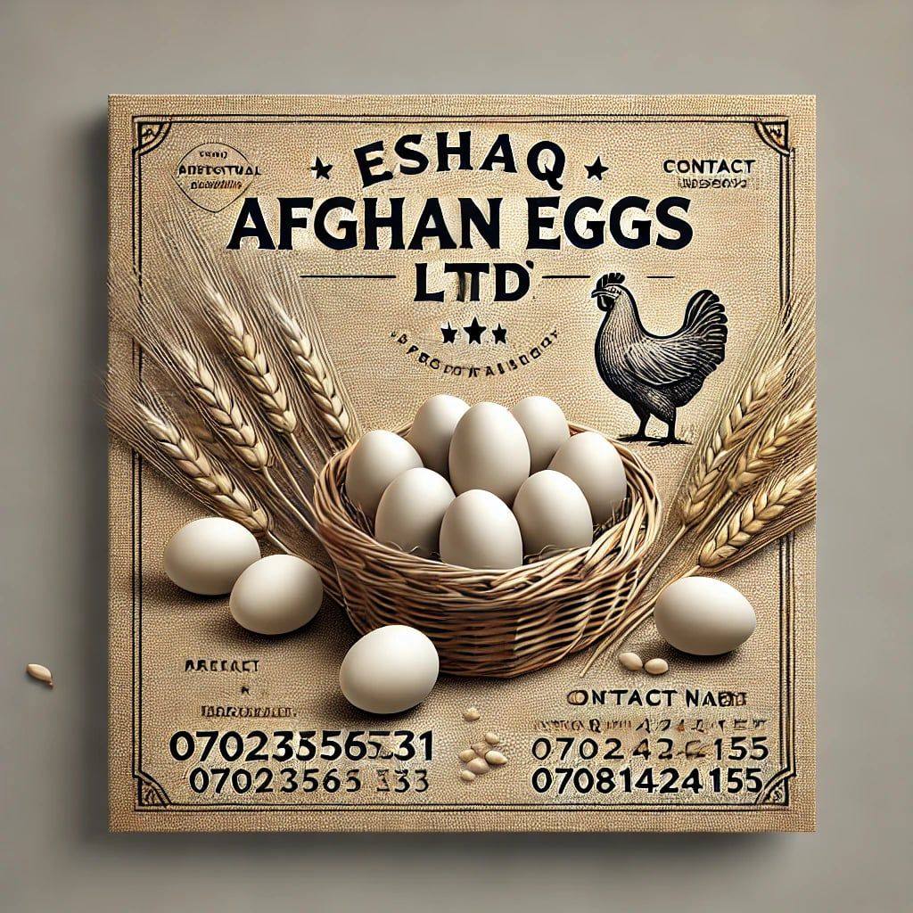 Eshaq AfghanZai اسحاق افغانزی خدمات | Kandahar