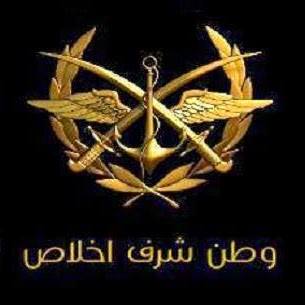 ابن آوى