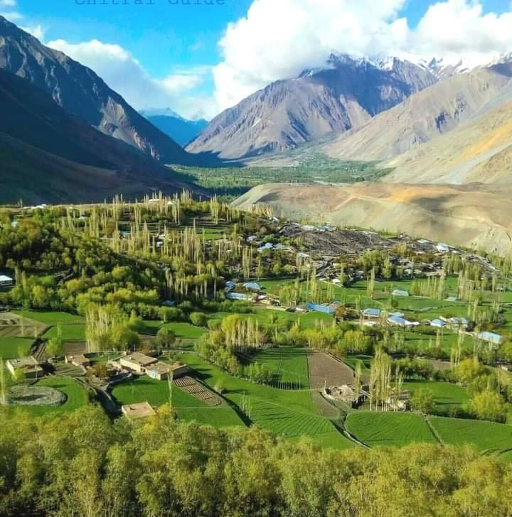 Chitral's View