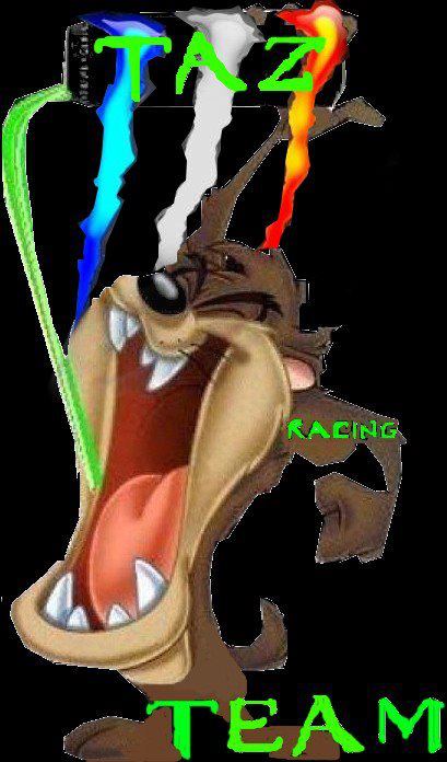 Taz Racing Concept