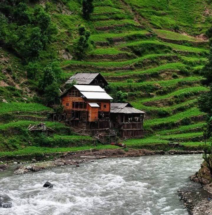 Sohail Rafiq