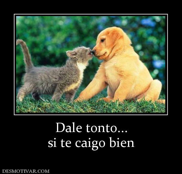 BIEN Tont
