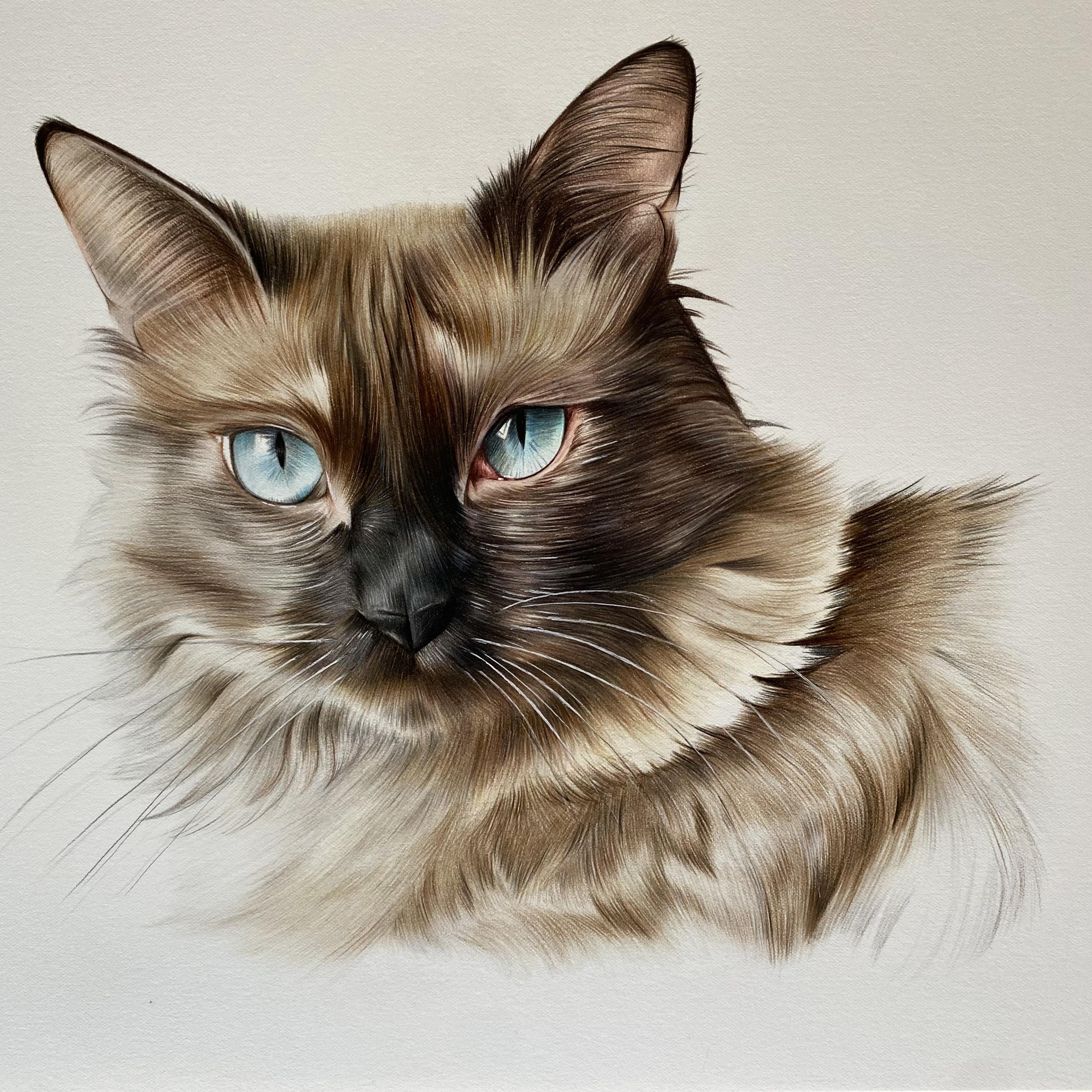 Linsey Lee Art