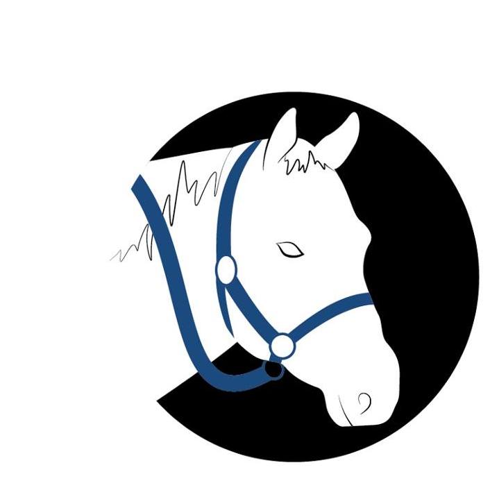 Blue Rein Ranch Animal Assisted Therapy Foundation