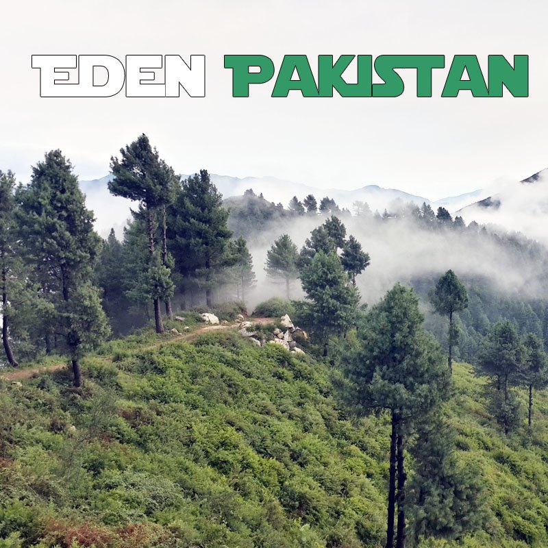 Eden Pakistan