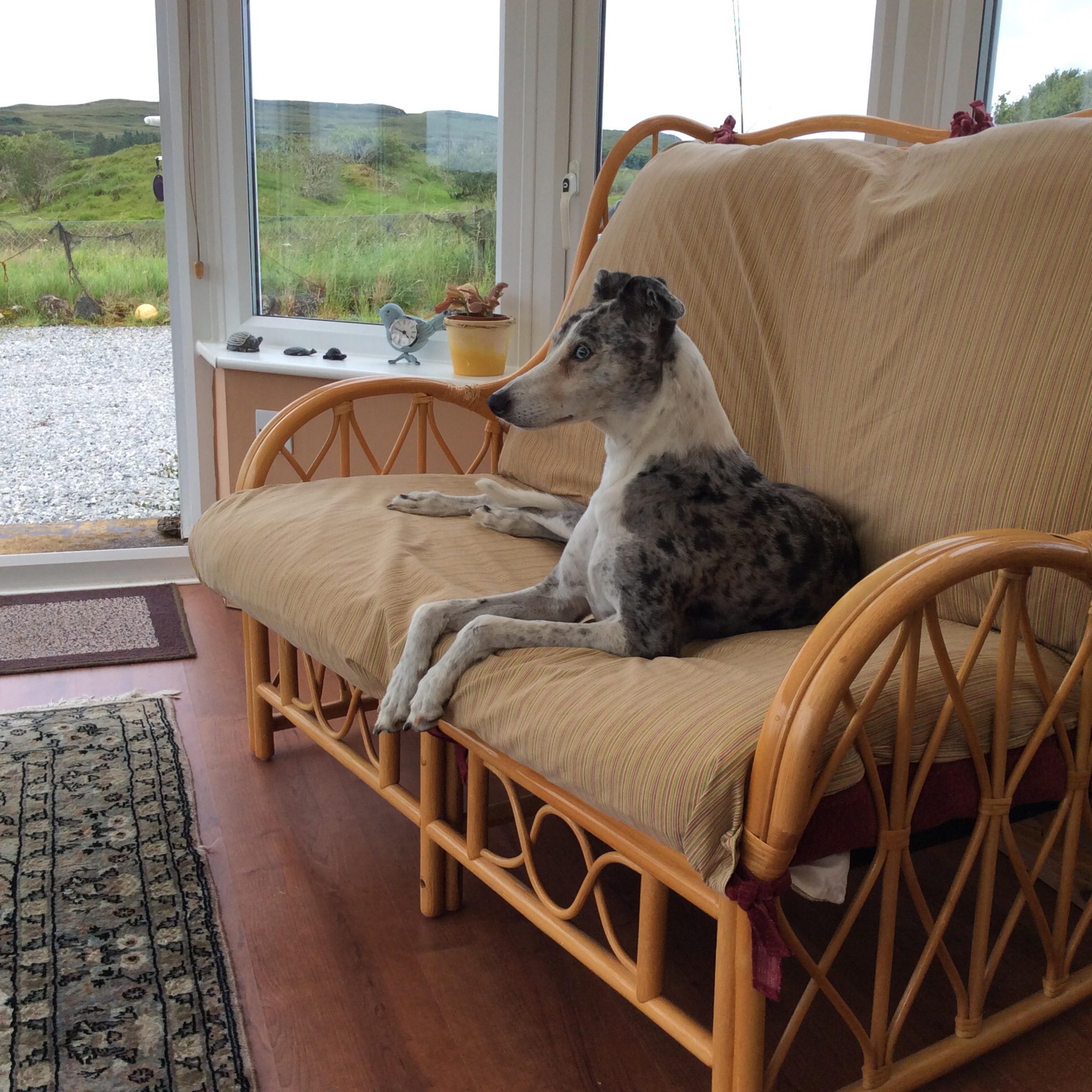Mallaig, Morar & Arisaig Community Page | Anyone know someone with the ...