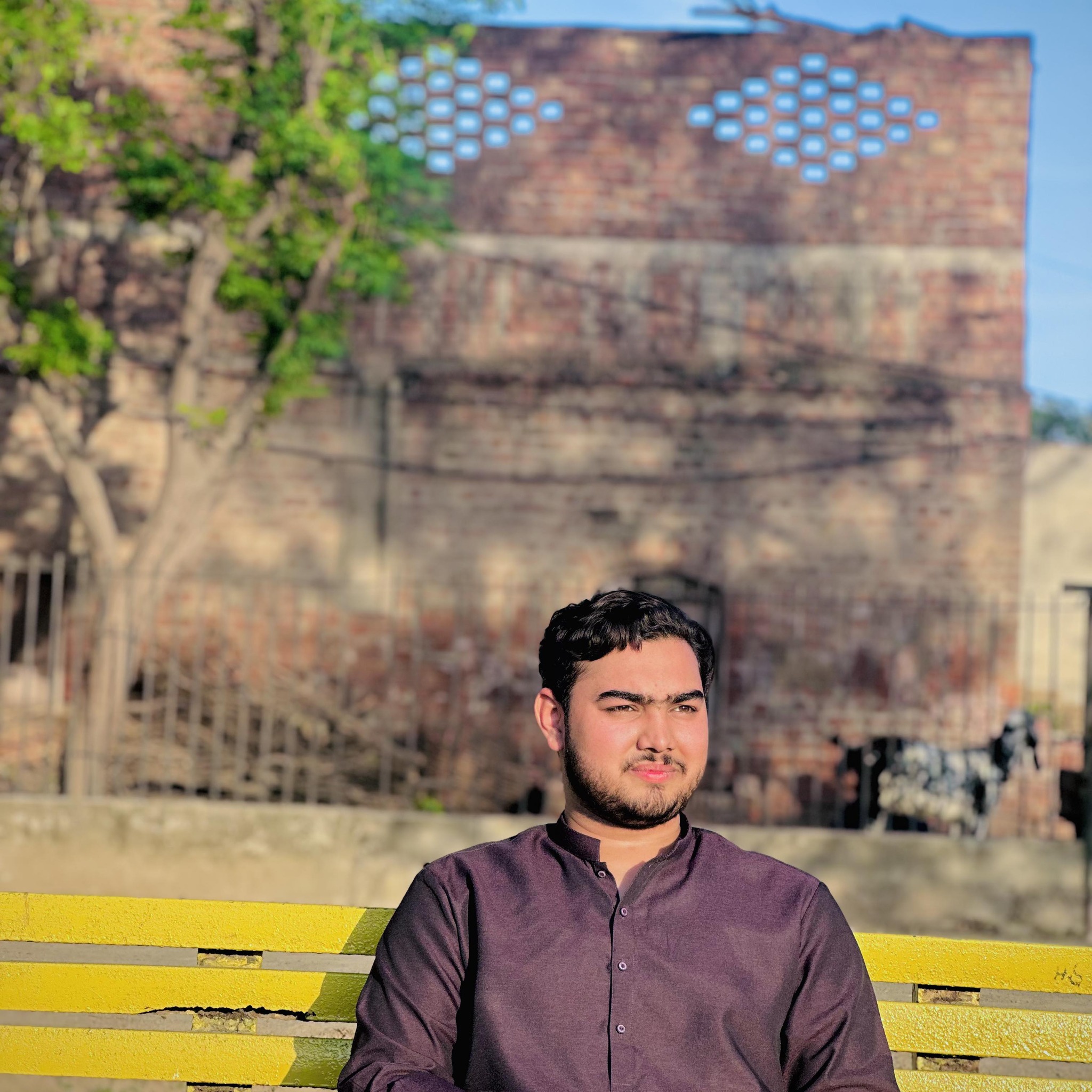 Ashfaq Ali