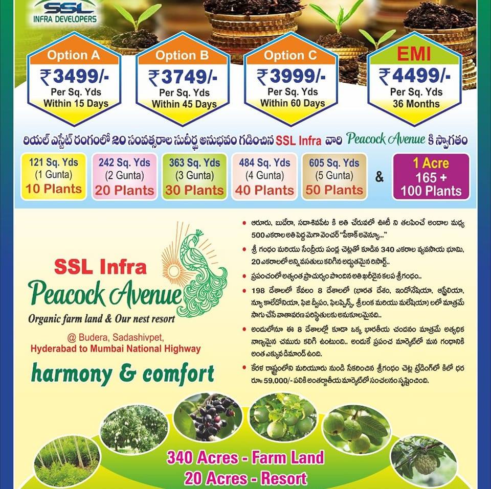 SSL INFRA Peacock Avenue | Pune