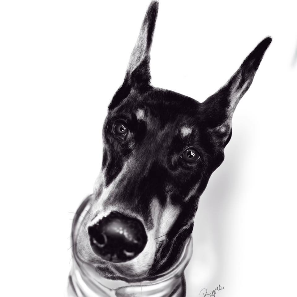 Sara’s Pet Portraits