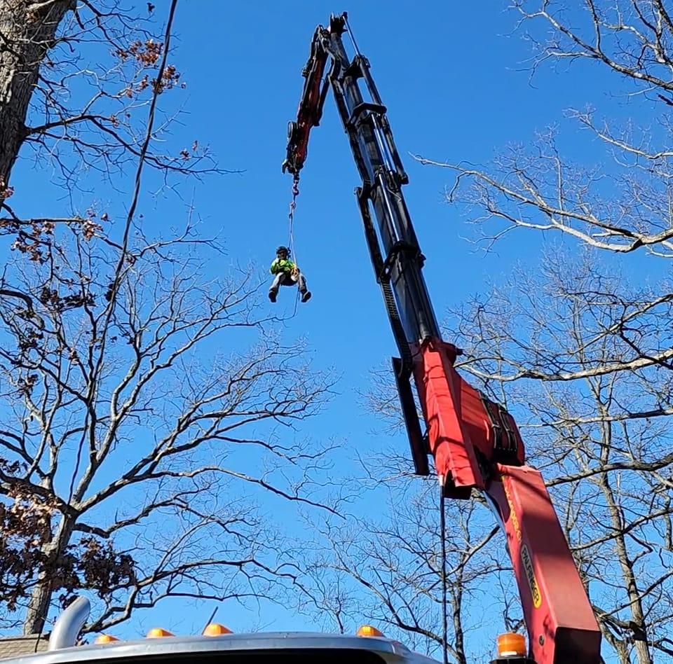 Arb Tech Tree Services | Munith MI