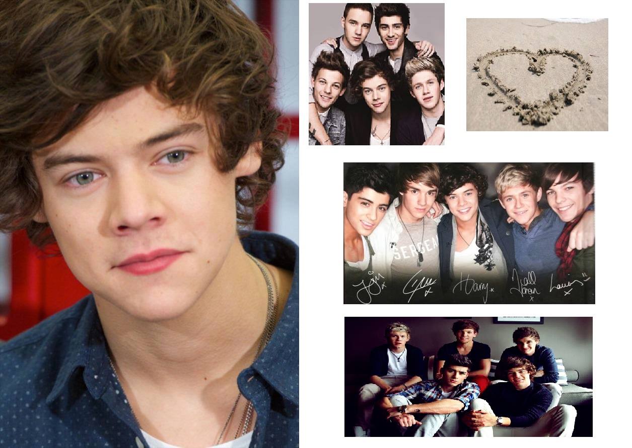 One direction fãs