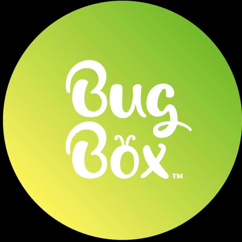 BugBox_studio