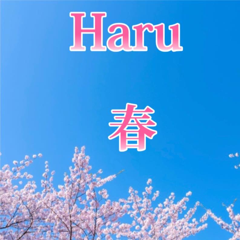 HARU -はる japan-myanmar online shop