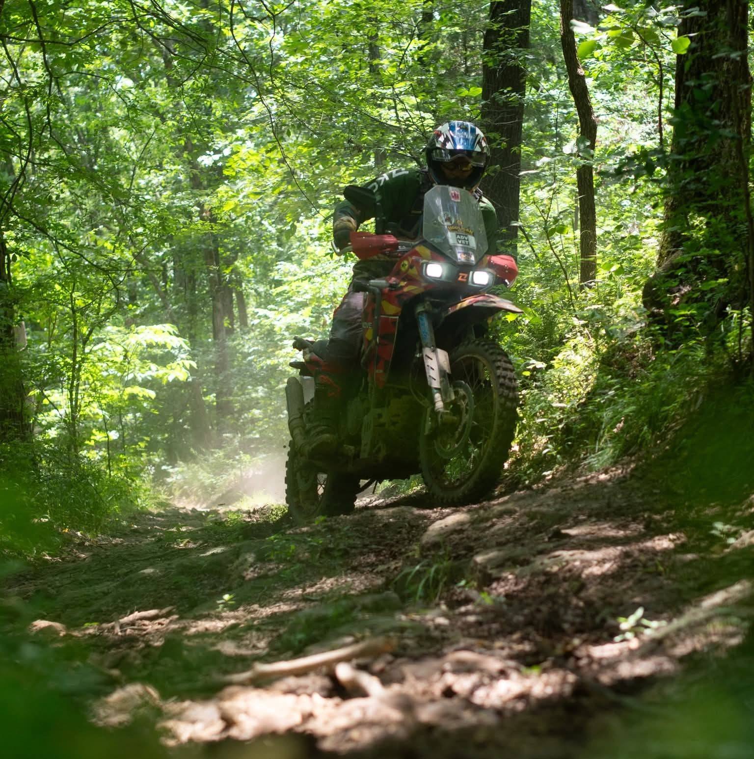 Dual Sport Motorcycle Riders | Whats everyones thoughts on the hawk 250 ...