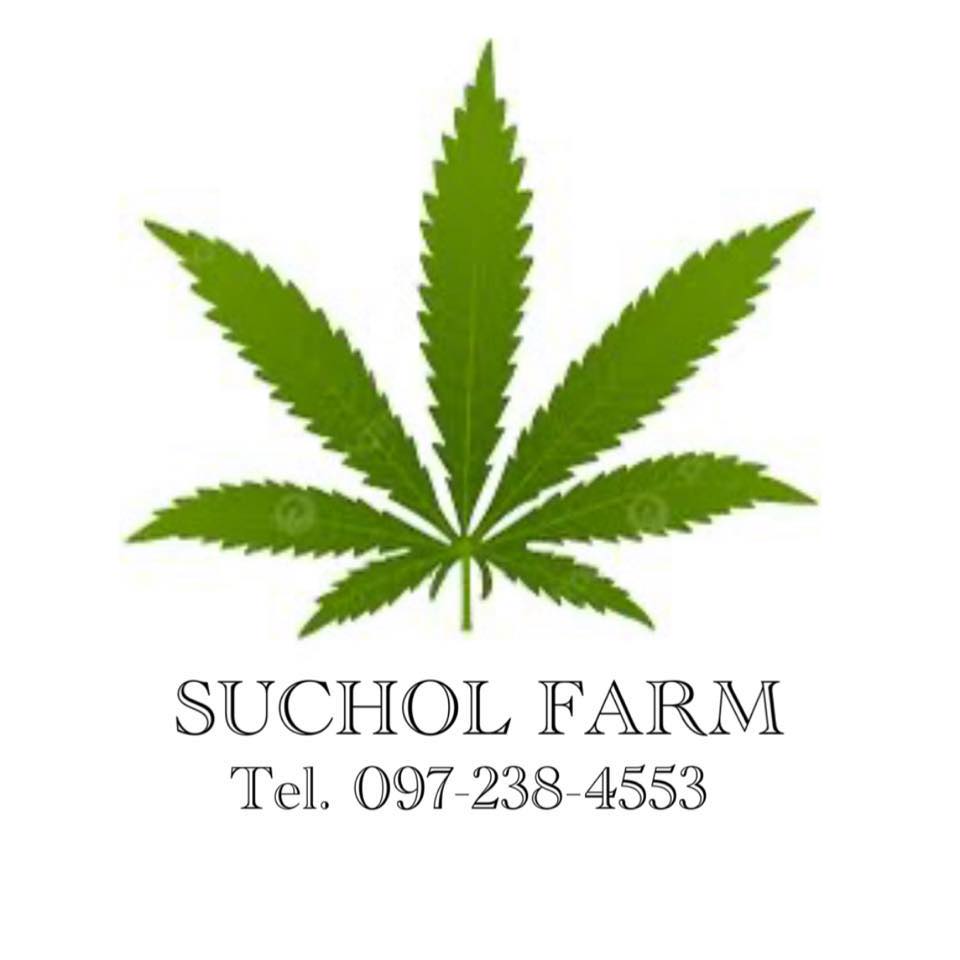 Suchol FARM - ก่อนปรับไฟเคลียร์ใบไปรอบใหญ่ ใบมาเพียบอีกแล้ว 😓 | Facebook